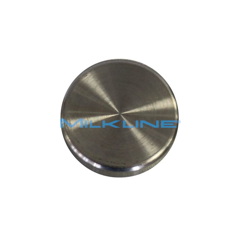 VALVOLA INOX A DISCHETTO IP