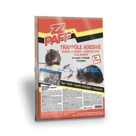 ADHESIVE MOUSE TRAPS