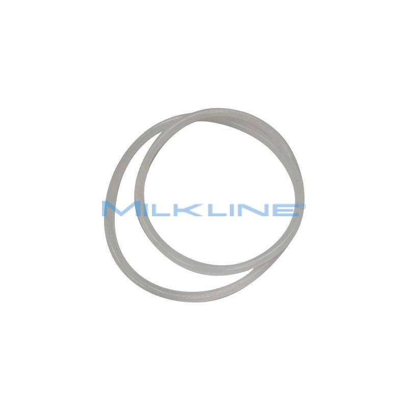 SEAL THICKNESS D: 4MM FOR BOILER CONTAINER