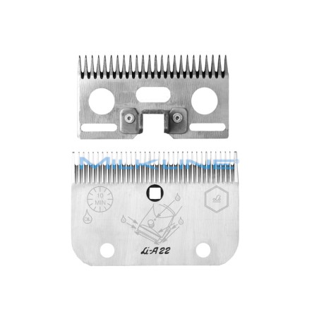 SET PETT+COL A/22 EQUINI T/PRECISIONE