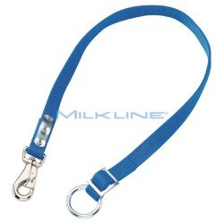 CINGHIA SINGOLA SCORREVOL 1 ANELL0 100CM