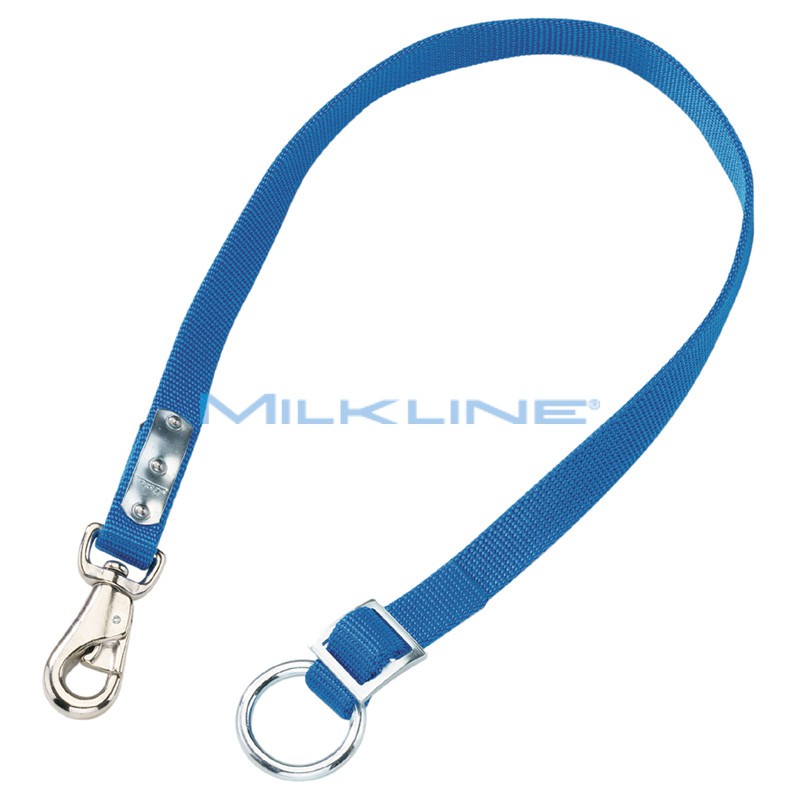 CINGHIA SINGOLA SCORREVOL 1 ANELL0 100CM