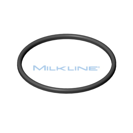 SEAL RING FOR S/S UNION D.101,6