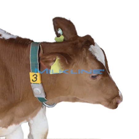 COLLAR FDX-ISO COMPL.