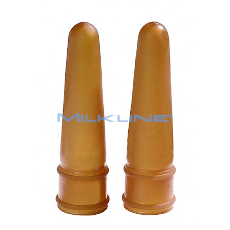 SET 2 TETT.LATTICE VIT.X SEC.TETON E BOT