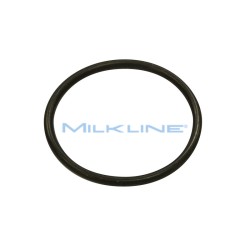 O-RING X VALV.REGOL.400L/3500L