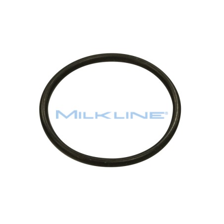 O-RING X VALV.REGOL.400L/3500L