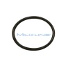 O-RING X VALV.REGOL.400L/3500L
