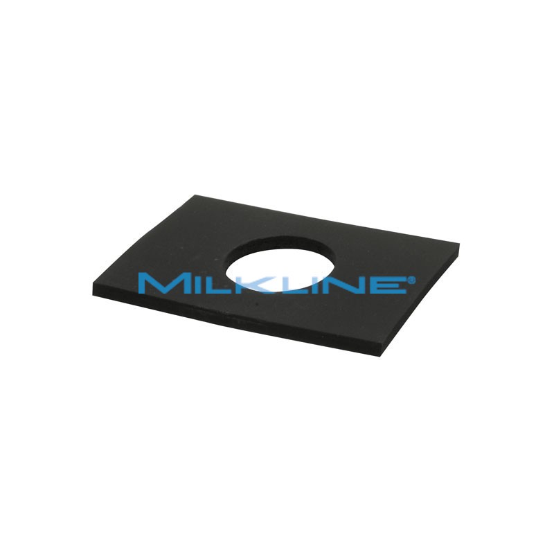 GASKET FOR S/S INLET F20/22