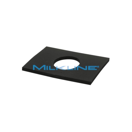 GASKET FOR S/S INLET F20/22