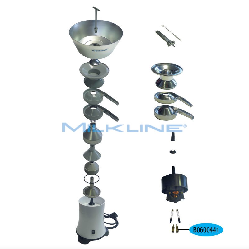 SET 2 SPAZZOLE CARBONE X ELECREM 1+3 TN