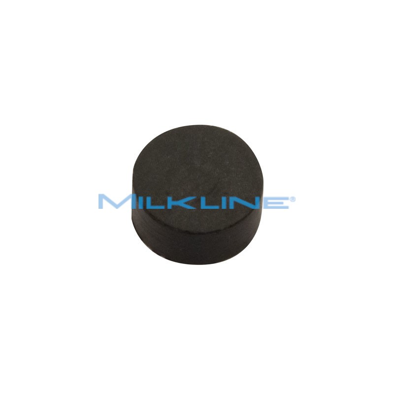 PASTIGLIA X GALLEGG.ABB.ANTIG.LIV COST