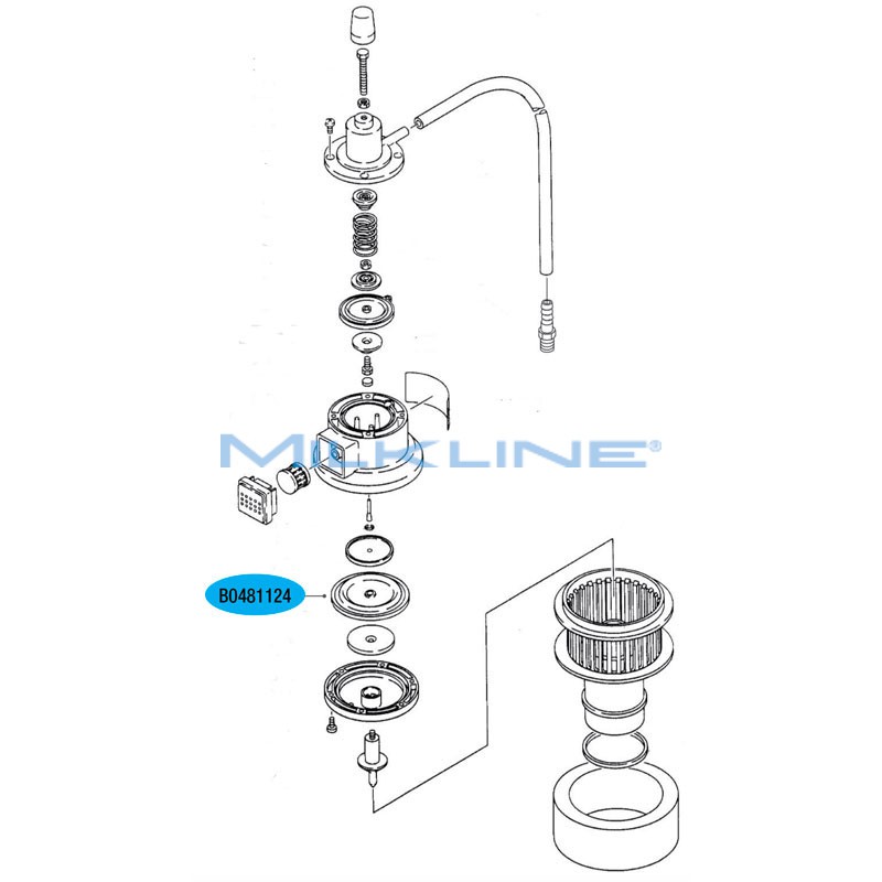 MEMBRANA INFERIORE X VRS 500 A