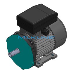 MOTOR KW1,3 4P 230V FLA+INT (PM6)