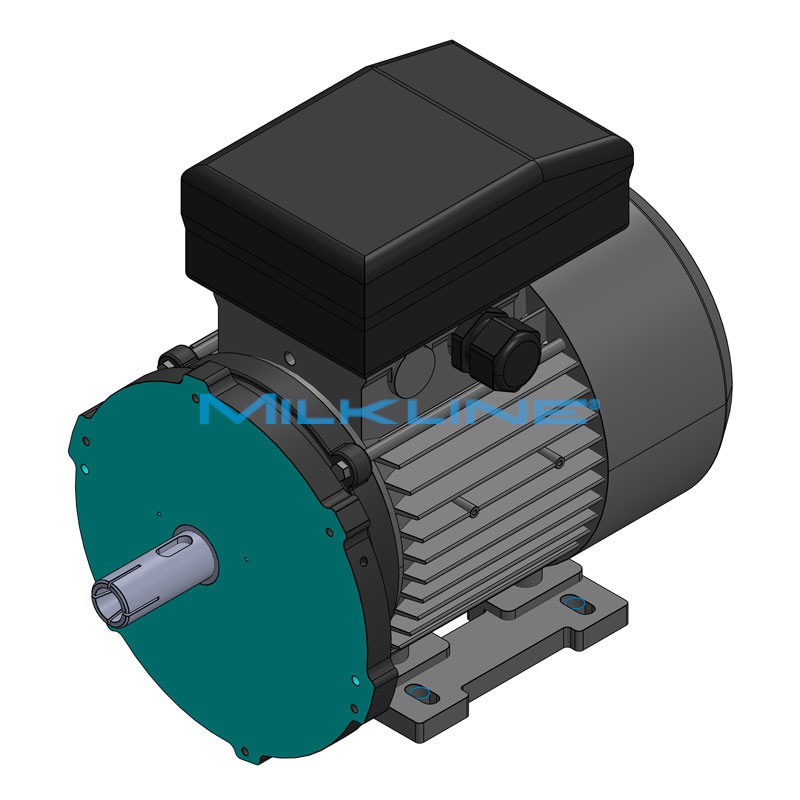 MOTOR KW1,3 4P 230V FLA+INT (PM6)