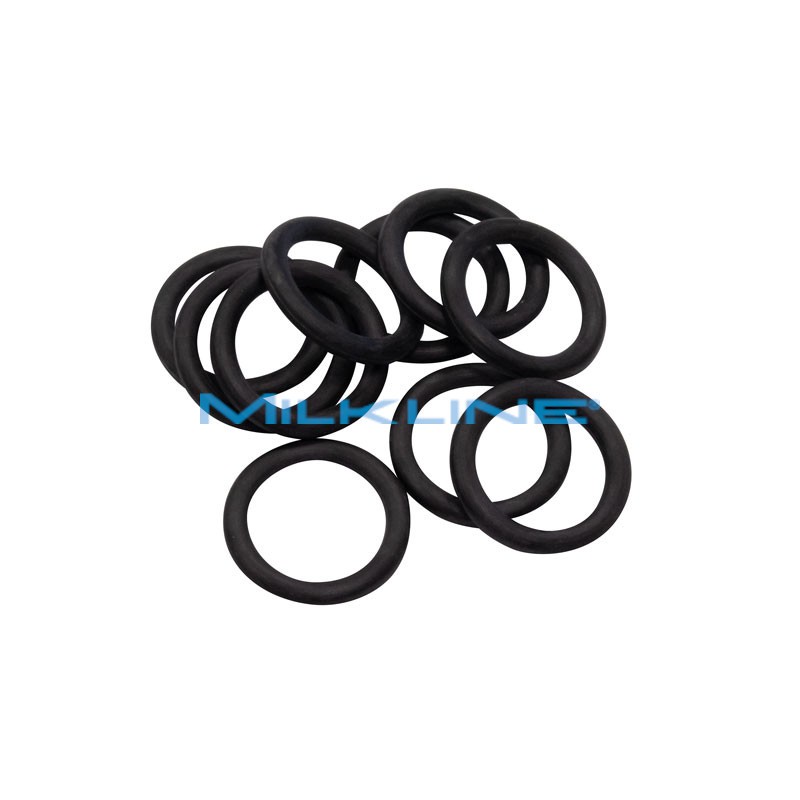 O-RING INTERNO X BOBINA PULS ML