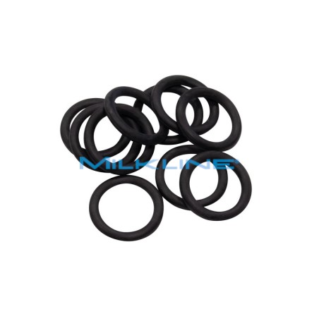 O-RING INTERNO X BOBINA PULS ML
