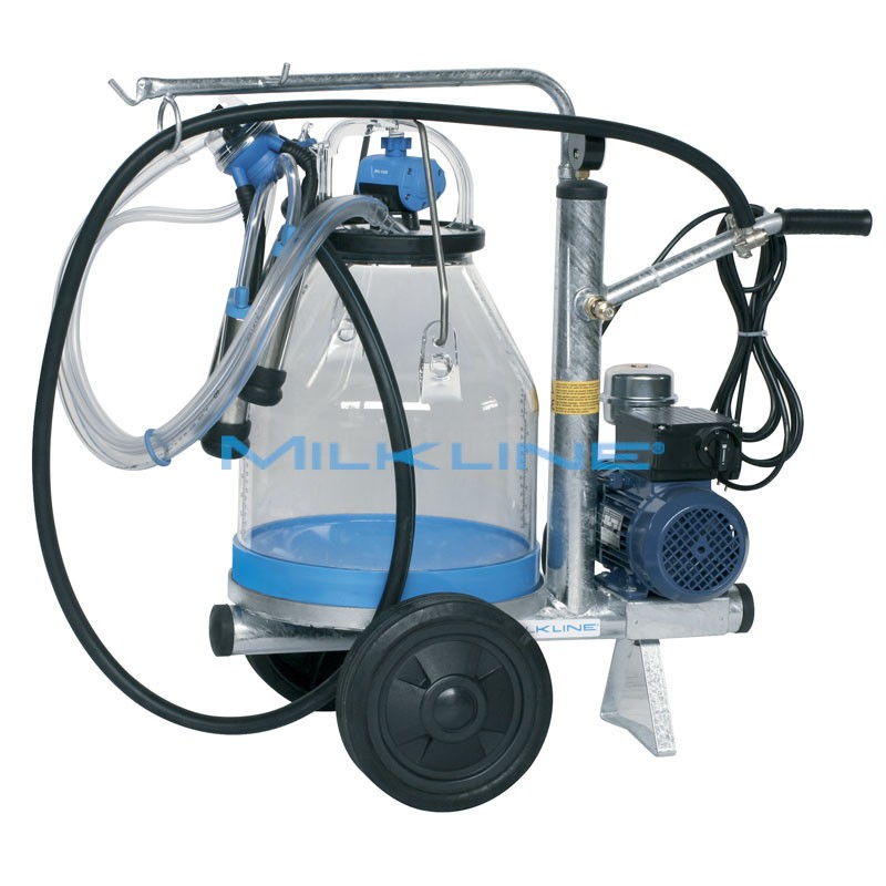 ECONOMY 1 140 1G N/I 1124 P30