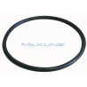 O-RING POMPA LATTE AD AL GM2