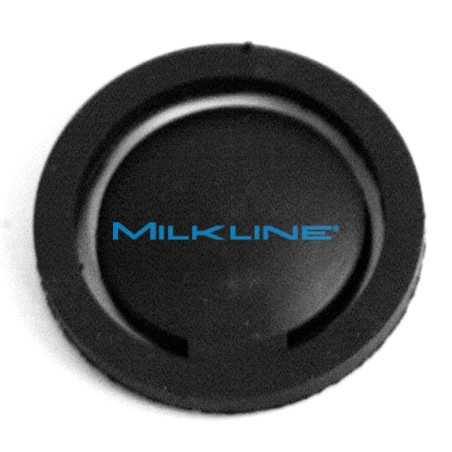 VALVOLA NON RITORNO CLAPE' FP