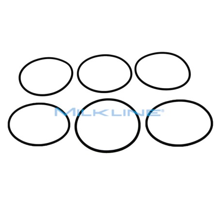 SET 6 OR X MASTITIS INDICATOR AMBIC