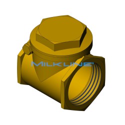 BRASS NON RETURN VALVE 2"M