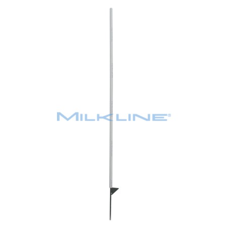 SET 10 PICCHETTI TONDI SUPER PL H146/125