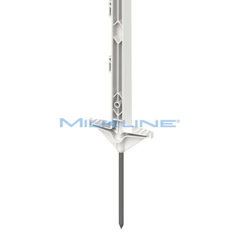 SET 5 MULTIF STAKES B RINF H104/86 2PED