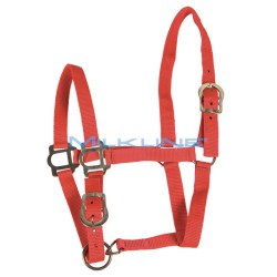 RED HALTER FOR THROUGHBRED