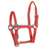 RED HALTER FOR THROUGHBRED