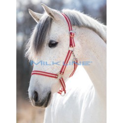 RED NYLON HALTER FOR PONY