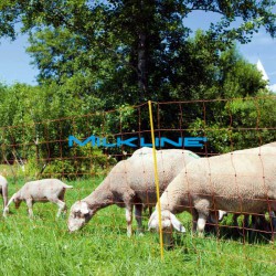 RETE OVINI OVINET CM108 2P 50MT