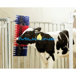 SPAZZOLA A PARETE CON SETOLE IN POLIAMMIDE 5CM