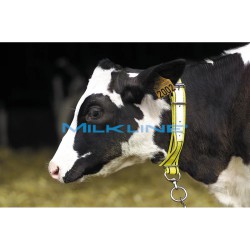 CAVEZZA IN NYLON RINF.IN PELLE X VACCHE