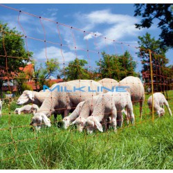 RETE OVINI OVINET CM108 2P 50MT