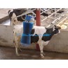OSCILLATING SINGLE ELECTRIC BRUSH FOR COWS ML
