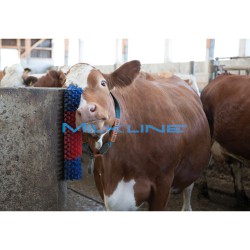 SPAZZOLA A PARETE CON SETOLE IN POLIAMMIDE 5CM