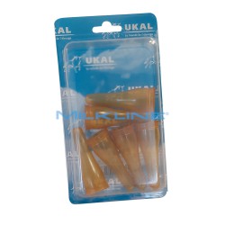 SET 6 SUCCHIOTTO LATTICE X AGNELLI T