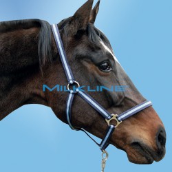 CAVEZZA X EQUINI RINFORZATA BLU-MIS.2