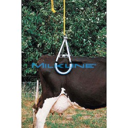 SOLLEVA BESTIE EXPORT