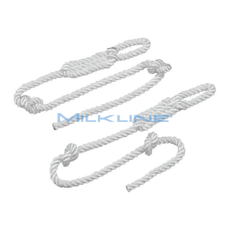 COPPIA CORDE RICAMBIO X AIUTOP.STD EXPORT