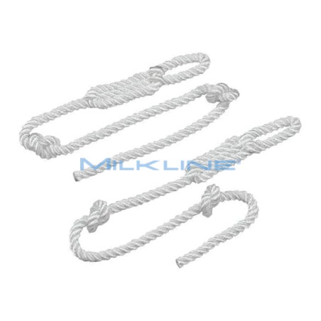 COPPIA CORDE RICAMBIO X AIUTOP.STD EXPORT