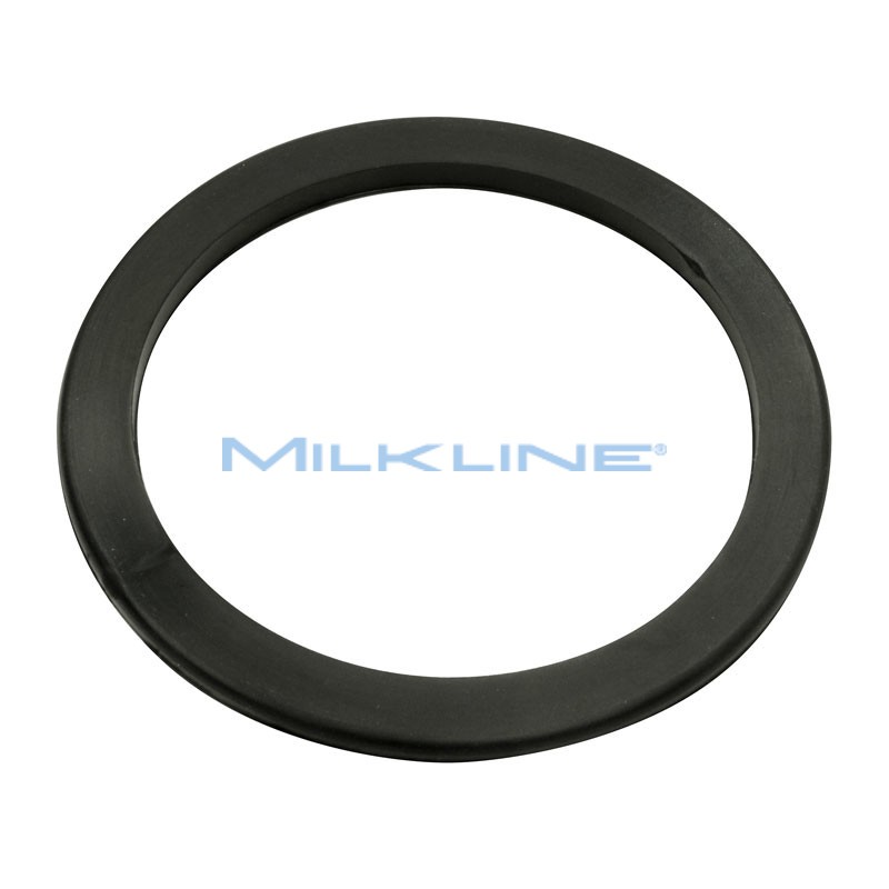 BODY GASKET PUMP 4100