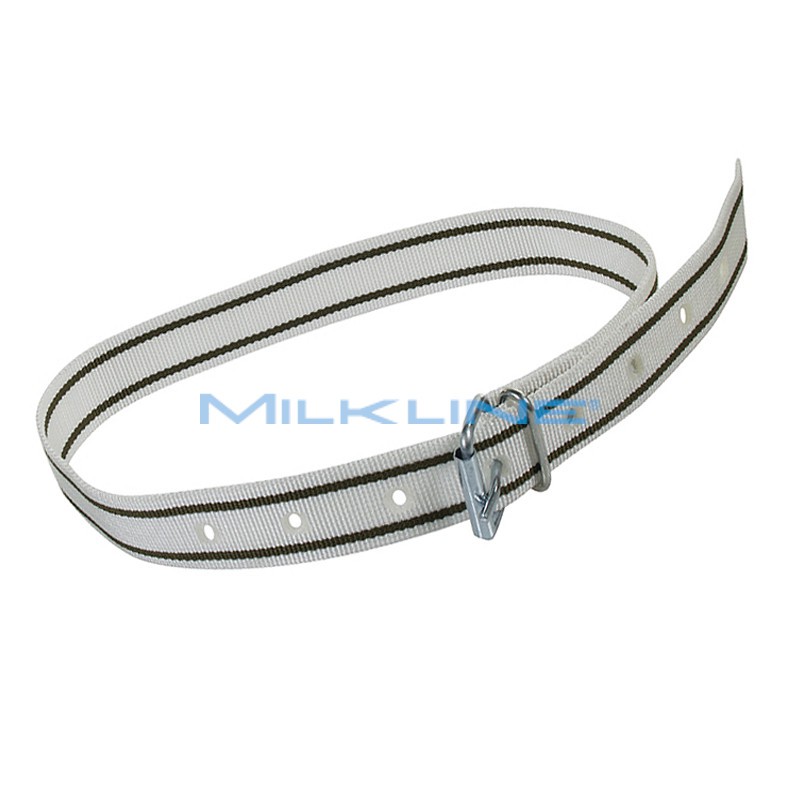 COLLARE IDENT X VACCHE C/FIBBIA B 120CM