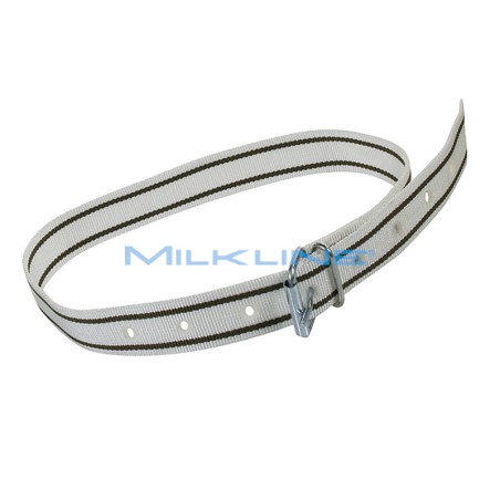 COLLARE IDENT X VACCHE C/FIBBIA B 120CM