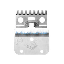 SET PETT+COL A/2 EQUINI