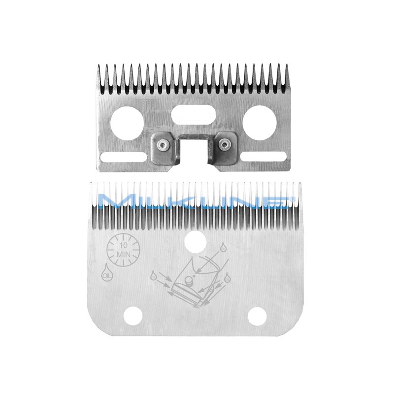 SET PETT+COL A/2 EQUINI