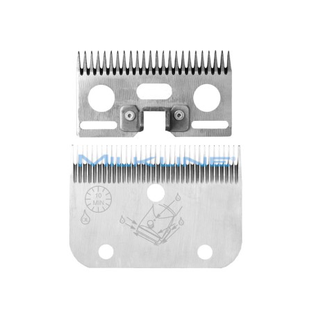 SET PETT+COL A/2 EQUINI