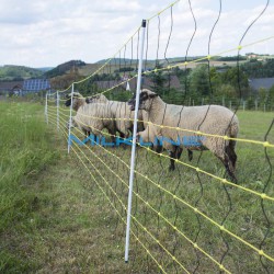 RETE OVINI HORINETZ SUPER 105CM 1P 50MT