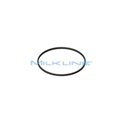 GUARNIZIONE X FISIOTRAP